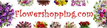 send flowers onlne - same day delivery