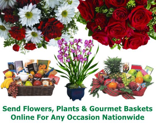 flowers shopping online
