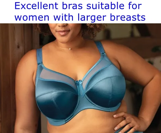 excellent bras suitable for women with larger breasts